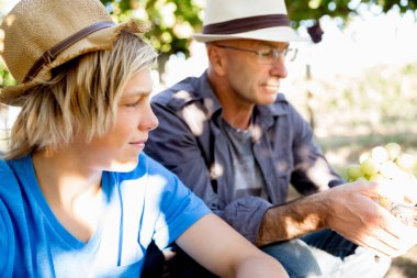 Baba ve oğul bağ içinde