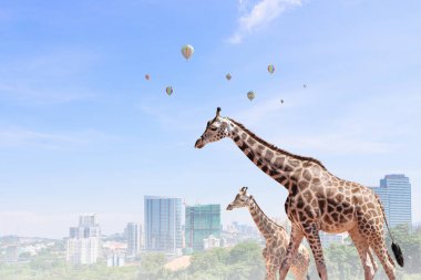 Güç ve liderlik kavramı