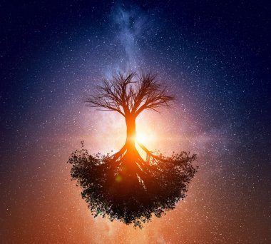 Yıldızlı gökyüzü manzara