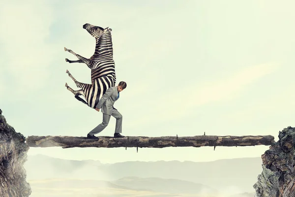 Homem de negócios carregando zebra. Meios mistos — Fotografia de Stock