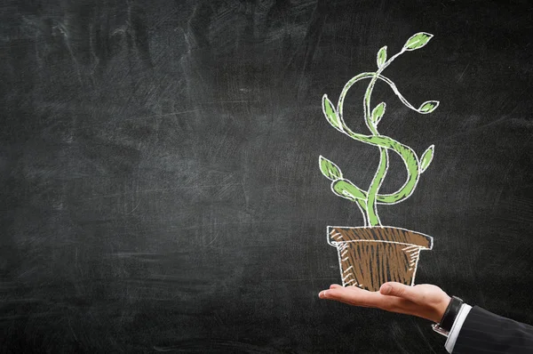 Make your income grow — Stock Photo, Image