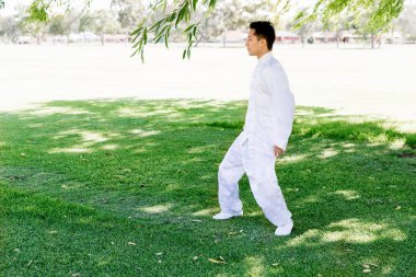 Yakışıklı adam Thai Chi yapıyor.