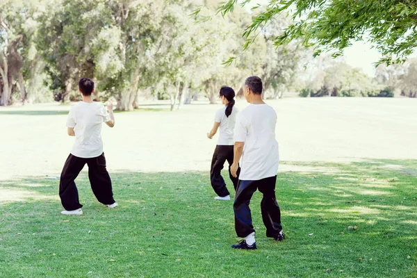 Pessoas praticando tailandês chi no parque — Fotografia de Stock