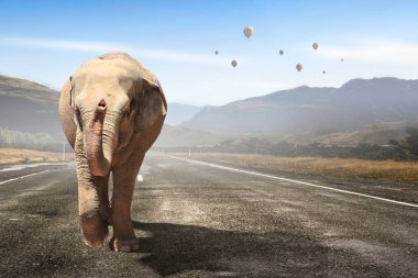 Ağır taşıma. Karışık teknik