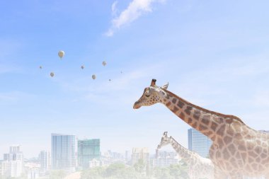 Güç ve liderlik kavramı