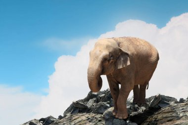 Ağır taşıma. Karışık teknik