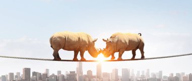 Güç ve liderlik kavramı