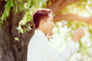 Yakışıklı adam Thai Chi yapıyor.