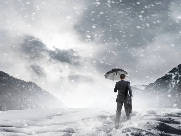 Hiçbir şey onu durduramaz. Karışık teknik