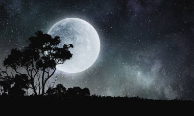 Tatlı gece rüya. Karışık teknik