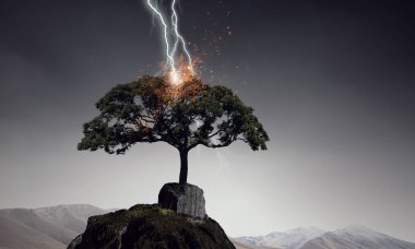 Parlak yıldırım ağaca çarptı