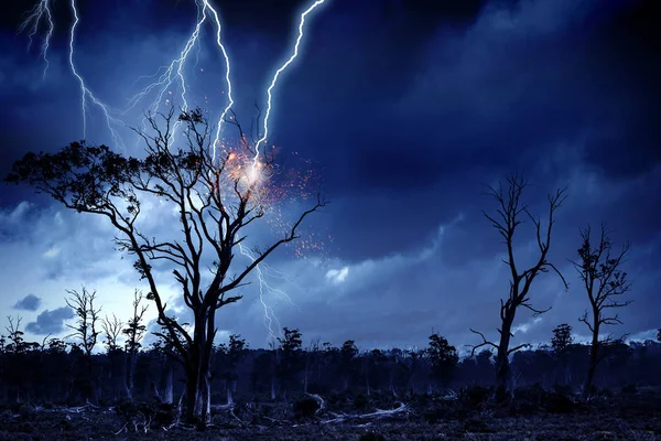 Bright lightning hit the tree — Stock Photo, Image