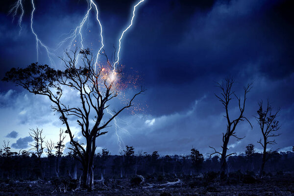 Bright lightning hit the tree