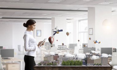 Geliştirme projesi sunulması. Karışık teknik