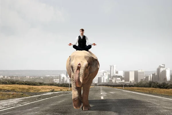 O hayvan güç ve güç sahiptir. Karışık teknik