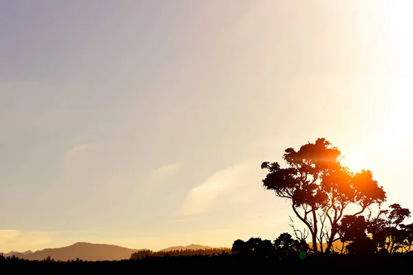 Safari sunset landskap — Stockfoto