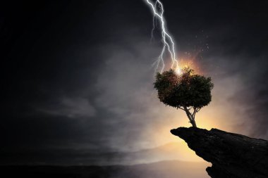 Parlak yıldırım ağaca çarptı