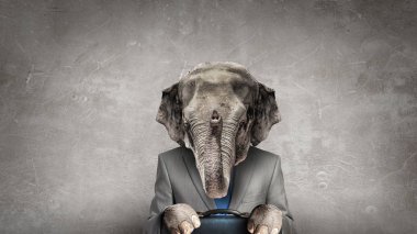 Hayvan iş adamı diplomat. Karışık teknik