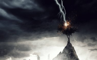 Parlak yıldırım ağaca çarptı