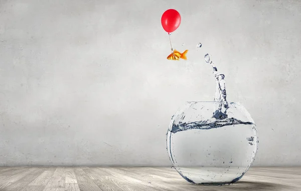 Goldfish jumping from aquarium — Stock Photo, Image