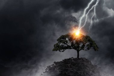 Parlak yıldırım ağaca çarptı