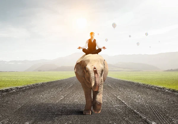 Il possède la force et la puissance des animaux. Techniques mixtes — Photo