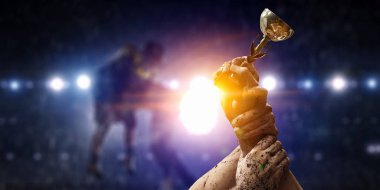 Zafer için mücadele. Karışık teknik