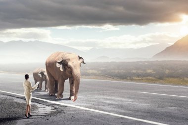 Hayvan güç ve stength. Karışık teknik