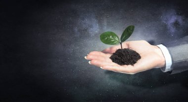 Yeni bir hayat doğumu. Karışık teknik