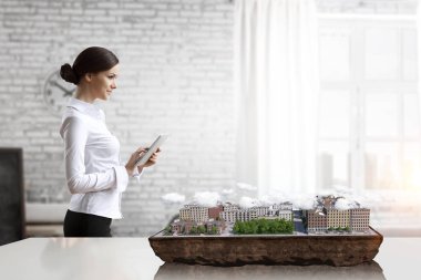 Bu en iyi Kalkınma Projesi olacak. Karma ortam. Karışık teknik