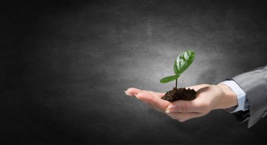 Yeni bir hayat doğumu. Karışık teknik