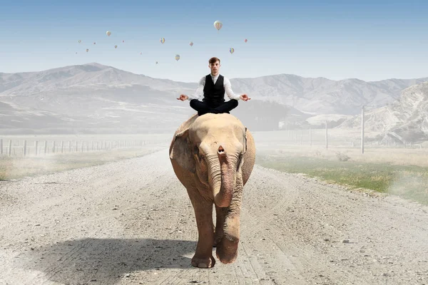 O hayvan güç ve güç sahiptir. Karma ortam. Karışık teknik