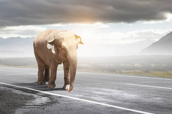 Ağır yük taşıma vergisi. Karışık teknik