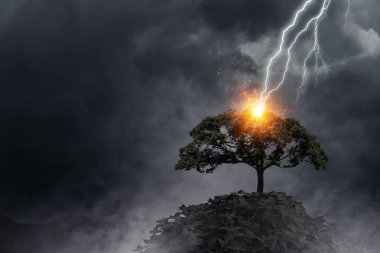 Parlak yıldırım ağaca çarptı