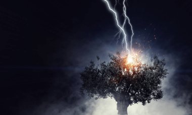 Parlak yıldırım ağaca çarptı