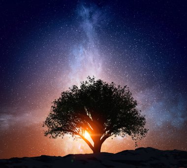 Yıldızlı gökyüzü manzara