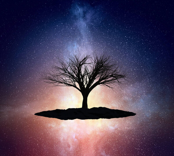 Tree silhouette against night sky background. Mixed media