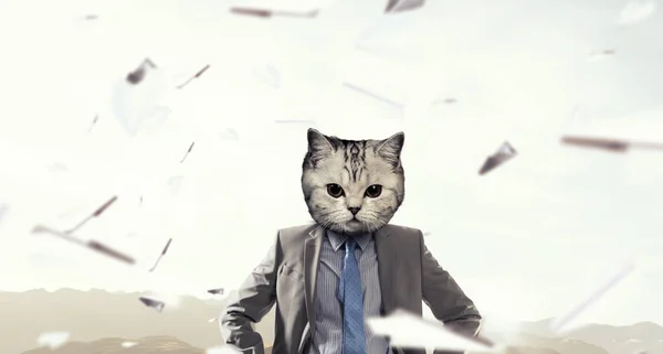 Cat in business suit. Mixed media — Stock Photo, Image