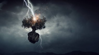 Parlak yıldırım ağaca çarptı