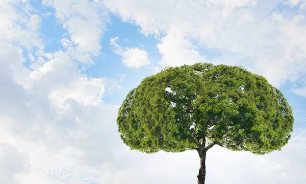 Eco life Konzept. Gemischte Medien — Stockfoto