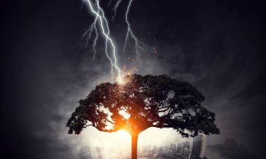 Parlak yıldırım ağaca çarptı