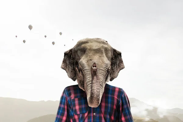 Elefante vestido de camisa marcada. Meios mistos — Fotografia de Stock
