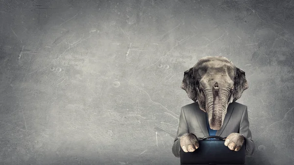 Hayvan iş adamı diplomat. Karışık teknik