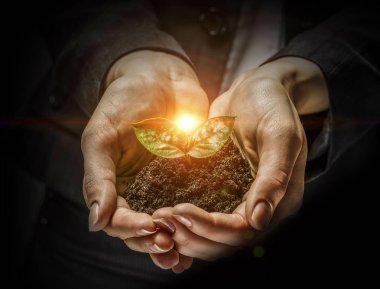 Bakım ve sevgi ile yetiştirilen