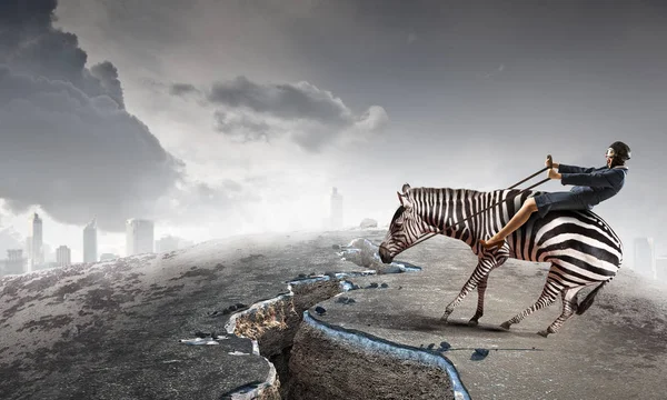 Affärskvinna ride zebra — Stockfoto