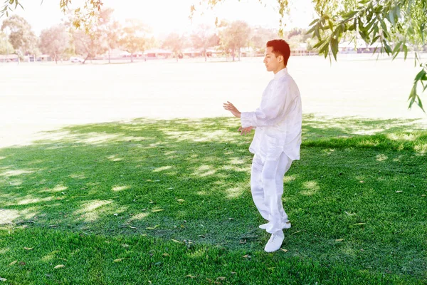 Yakışıklı adam Thai Chi yapıyor.