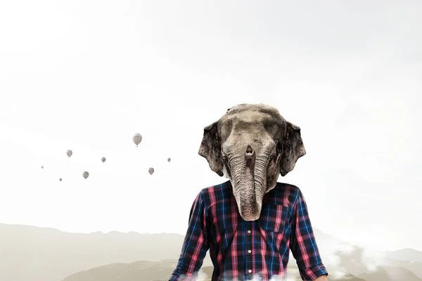 코끼리는 비즈니스 정장 입은. 혼합 매체 — 스톡 사진