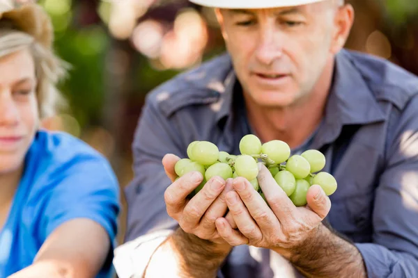 Père et fils dans la vigne — Photo