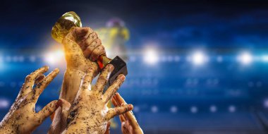 Zafer için mücadele. Karışık teknik