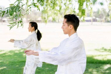 İnsanlar Park Thai chi